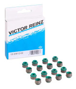 REINZ 12-33512-02 Packningssats, ventiler