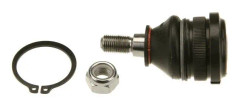 Kulled / Spindelled, Ytter, Nedre framaxel, Tvåsidig - hyundai, kia, mitsubishi, proton, volvo - OE 30859604, 30859605, 30863988