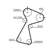 GATES Kuggrem 76153X26.0 5561XS