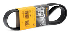CONTITECH V-ribbat bälte 7PK1104