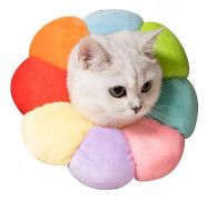 Mikasa Solros hund katt anti lick krage pet hals kudde färg S