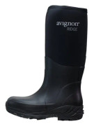 Avignon Ridge High