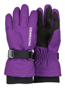 Didriksons Biggles Gloves 3 Royal Purple