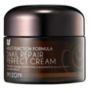 Face cream with snail secretion filtrate 60 for problematic skin Snail Repair Perfect Cream 50 ml