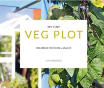 My Tiny Veg Plot