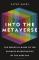Into the Metaverse