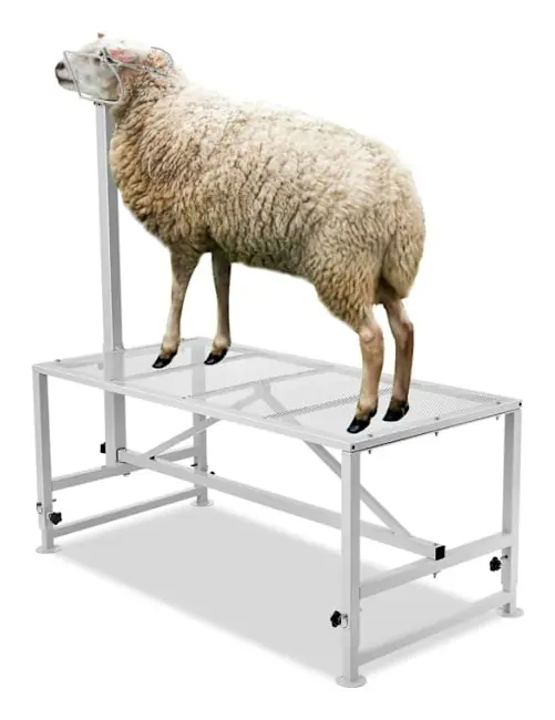 Djurskötselplattform-VEVOR-1195x584x1740 mm-Justerbart stativ för får och getter-Vit