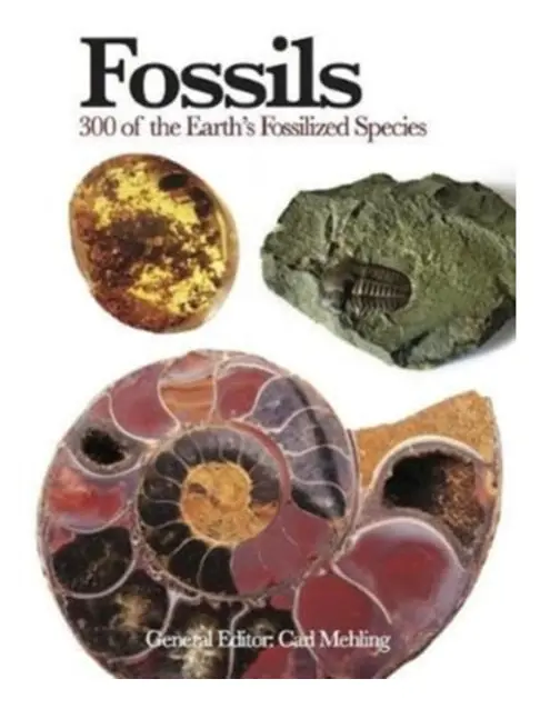Fossils (häftad, eng)
