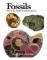 Fossils (häftad, eng)