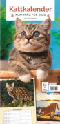 Kattkalender 2025 (Bok)