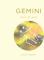 Zodiac Signs: Gemini