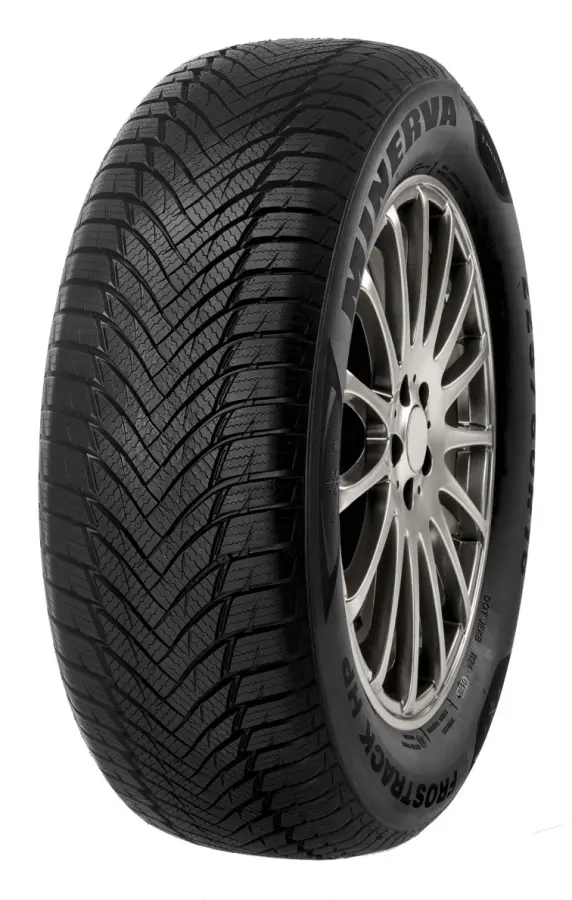 Minerva Frostrack HP 195/65 R14 89T Däck