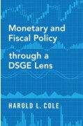 Monetary and Fiscal Policy through a DSGE Lens