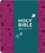 NIV Journalling Plum Soft-tone Bible with Clasp