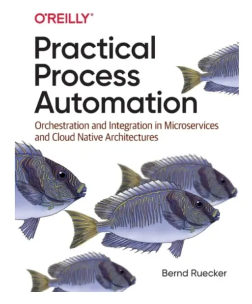 Practical Process Automation