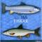 365 Fiskar