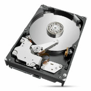 Seagate IronWolf Pro ST2000NT001 - Hårddisk - 2 TB - inbyggd - 3.5" - SATA 6Gb/s - 7200 rpm - buffert: 256 MB - med 3 års Seagate Rescue Data Recovery