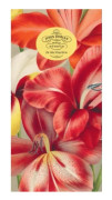 John Derian Paper Goods: In the Garden 80-Page Notepad