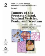 Tumors of the Prostate Gland, Seminal Vesicles, Penis, and Scrotum (inbunden, eng)