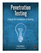 Penetration Testing