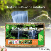 IC 1-pack Naturlig Komprimerad Sphagnum-Mossa för Orkidéodling Grön En Storlek