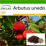 SAFLAX - Jordgubbsträd - 50 frön - Med kruksubstrat för bättre odling - Arbutus unedo