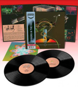 Spiders In The Rain [IMPORT]