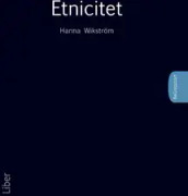 Etnicitet