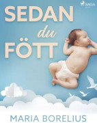 Sedan du fött : en bok om hur du tar hand om dig själv efter graviditet och förlossning