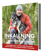 Inkallning