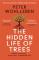 Hidden Life of Trees