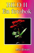 Bild II