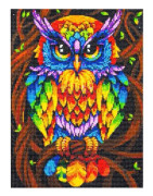 5D DIY Mosaic Diamond Painting - Färgglad uggla