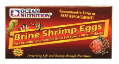Ocean Nutrition Artemia/Brine Shrimp Eggs - 20 g