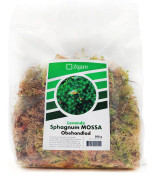 Zqare Levande Vitmossa - Sphagnum Mossa - 500 g
