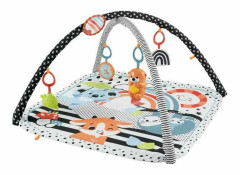 Fisher-Price HBP41, Babygym, Leksaksbåge, Låter, Multifärg