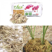 Spagnum Mousse 12l | Trädgårdstillbehör, fuktighetskräm, näring, organiskt gödningsmedel för Phalaenopsis Orchid #66
