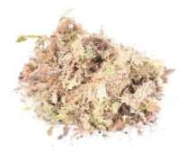 GÖDSELMEDEL 1pack 12L Torr Sphagnum Moss Trädgård Fuktgivande Näring Organisk gödselmedel för Orkidé Phalaenopsis Sphagnum Supplies Accue13