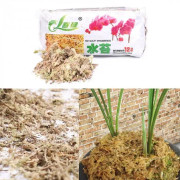 Spagnum Mousse 12l | Trädgårdstillbehör, fuktighetskräm, näring, organiskt gödselmedel för Phalaenopsis Orchid #03