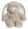 Teddykompaniet Teddy Heaters, Kanin