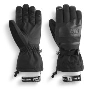 Picture Organic Clothing Men's Grabey GTX Gloves åka skidor