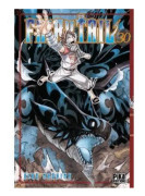Fairy Tail Volym 30