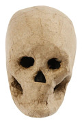 Skeleton