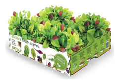 Odling Set Batlle Baby Leaves Sallader 40 x 29 x 10,5 cm 2,6 Kg
