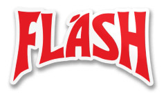 Flash Logo Sticker