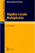 Lokal algebra, mångfald