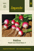 Rädisa Rond rose à bout blanc 2 - Raphanus sativus Rond rose à bout blanc 2