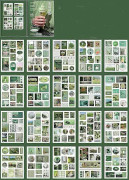 Små Söta Gröna Handboksstickers, 20 Ark Självhäftande Washipapper PVC Brev Natur Planner Stickers Estetisk för Konstjournalföring Hantverkspresenter