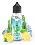 Fresh Kipick 50ml Summer Spicy - E.Tasty