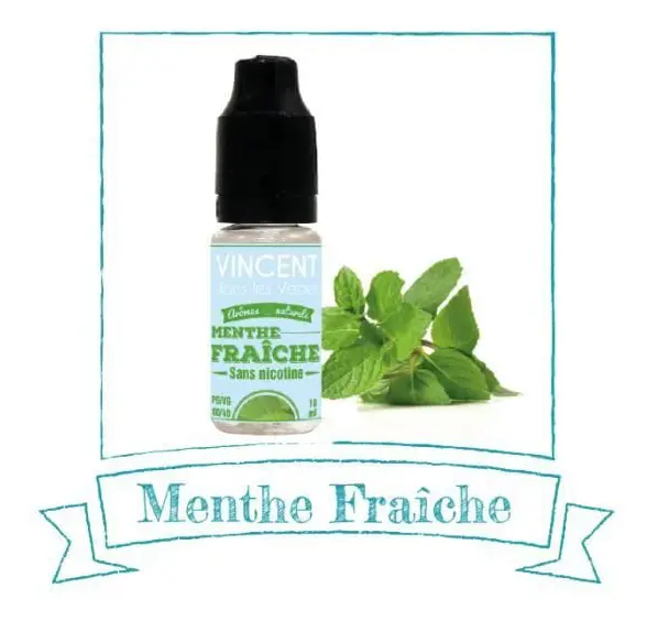 Pack 10 E-vätskor VDLV Fresh Mint - 0mg